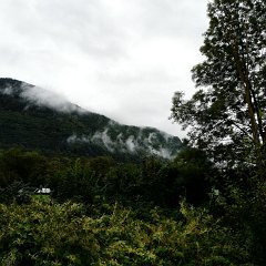 P1020879 (Copier)
